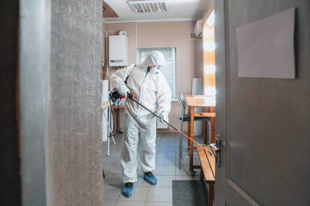 Best Mold-Related Health Consultation  in Kulpsville, PA
