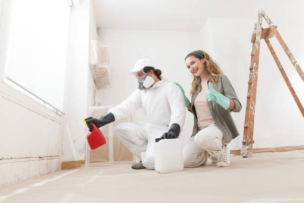 Best Mold Prevention Services  in Kulpsville, PA